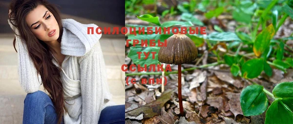 Альфа ПВП Киреевск